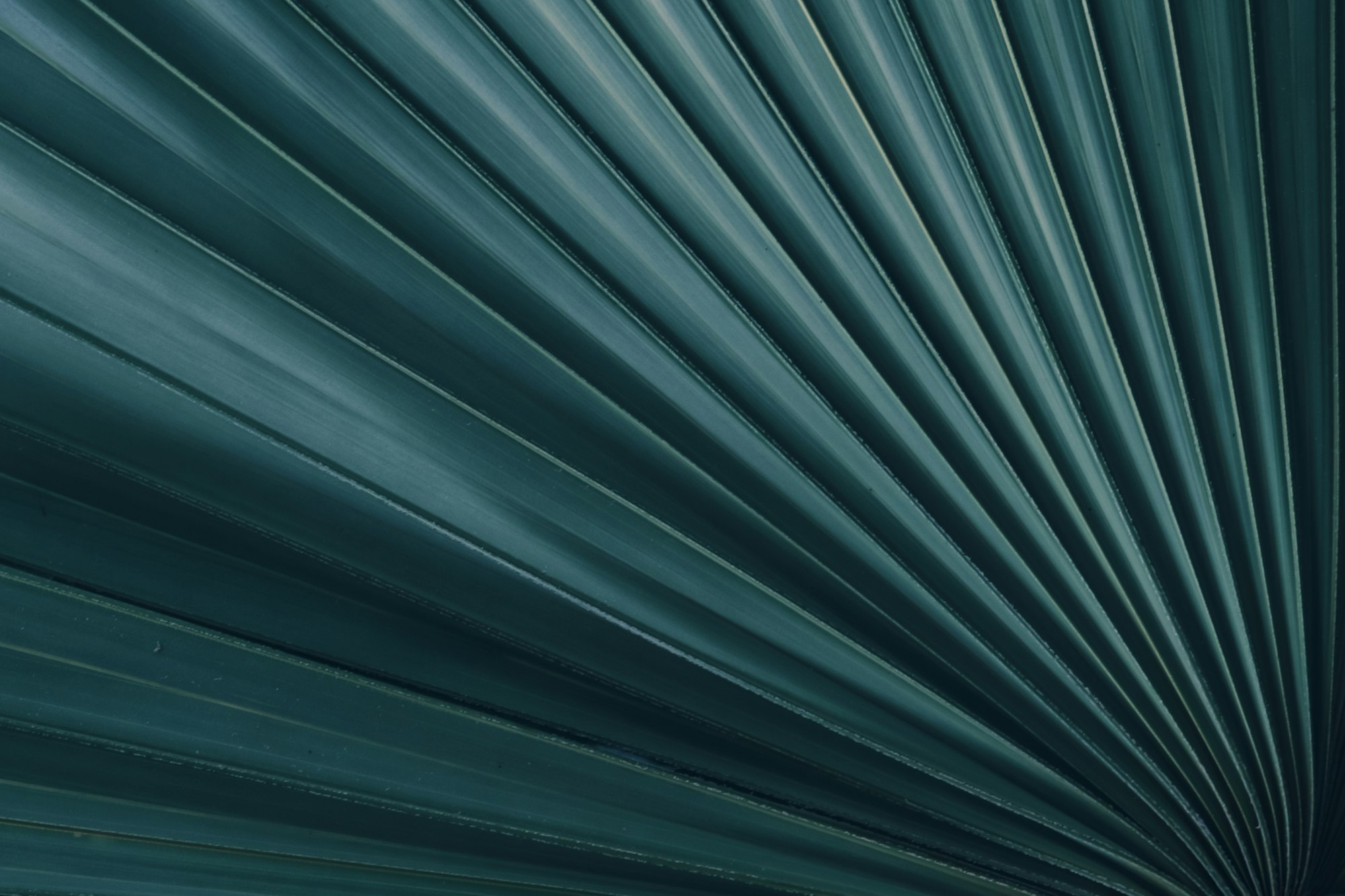 AEO: Answer Engine Optimization. What It Is and Why It Matters Now