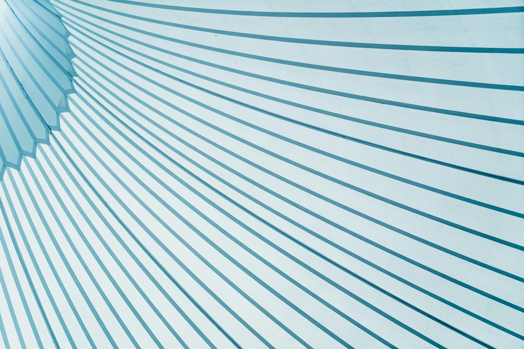 Application Development: Building Custom Integrations for Performance and Automation