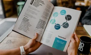 Brand Identity